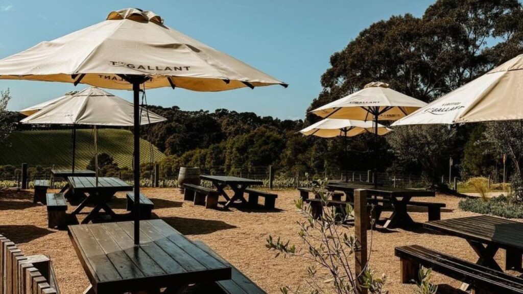 Best Wood-Fired Slices in Mornington Peninsula Australia