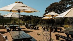 Pizza Lovers Alert : Where to Find the Best Wood-Fired Slices in Mornington Peninsula Australia